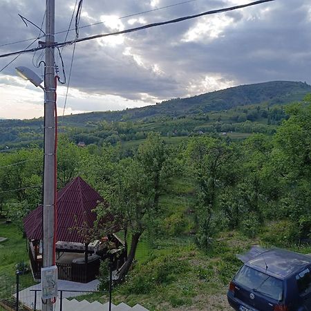 Casuta Din Livada Villa Moisei Dış mekan fotoğraf