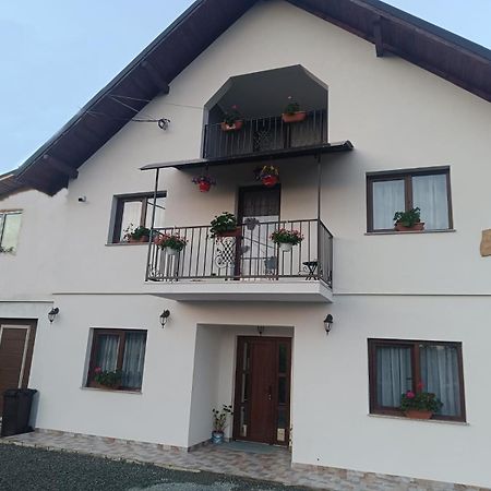 Casuta Din Livada Villa Moisei Dış mekan fotoğraf