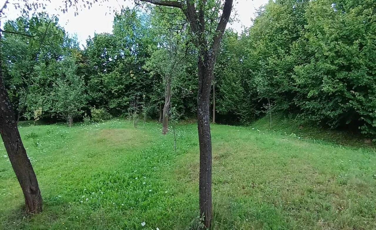 Casuta Din Livada Villa Moisei Dış mekan fotoğraf
