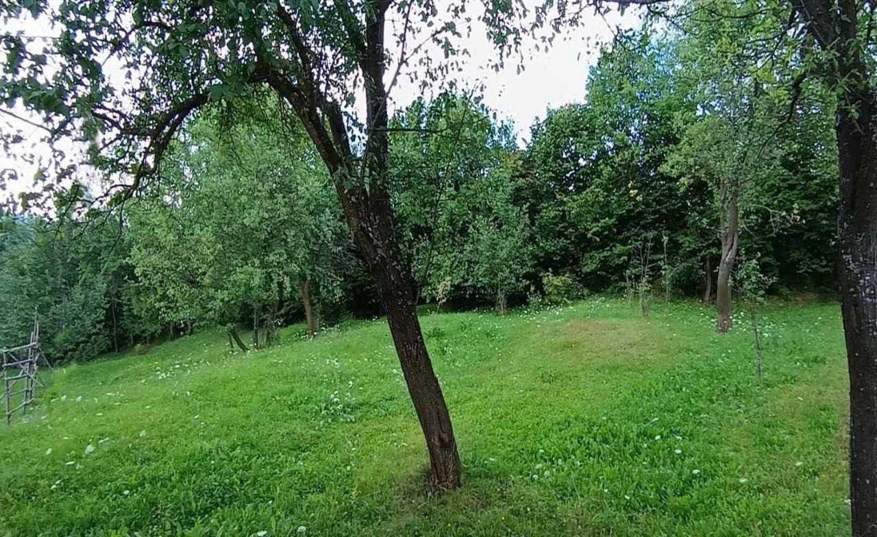 Casuta Din Livada Villa Moisei Dış mekan fotoğraf