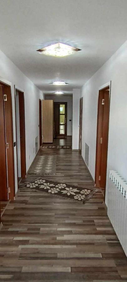 Casuta Din Livada Villa Moisei Dış mekan fotoğraf