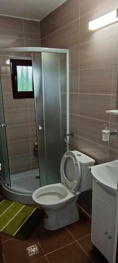 Casuta Din Livada Villa Moisei Dış mekan fotoğraf