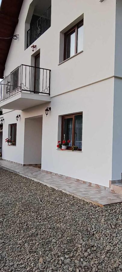 Casuta Din Livada Villa Moisei Dış mekan fotoğraf