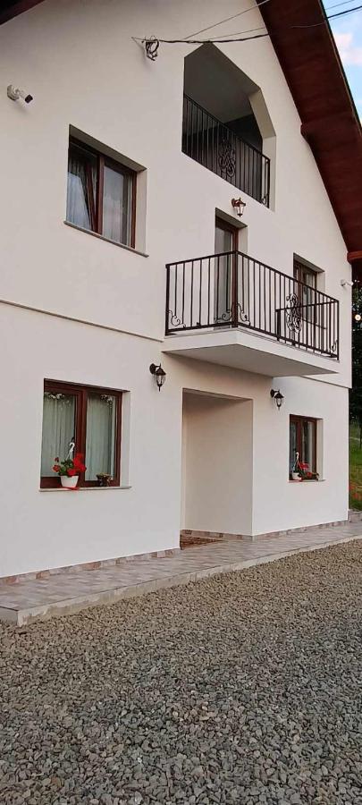 Casuta Din Livada Villa Moisei Dış mekan fotoğraf