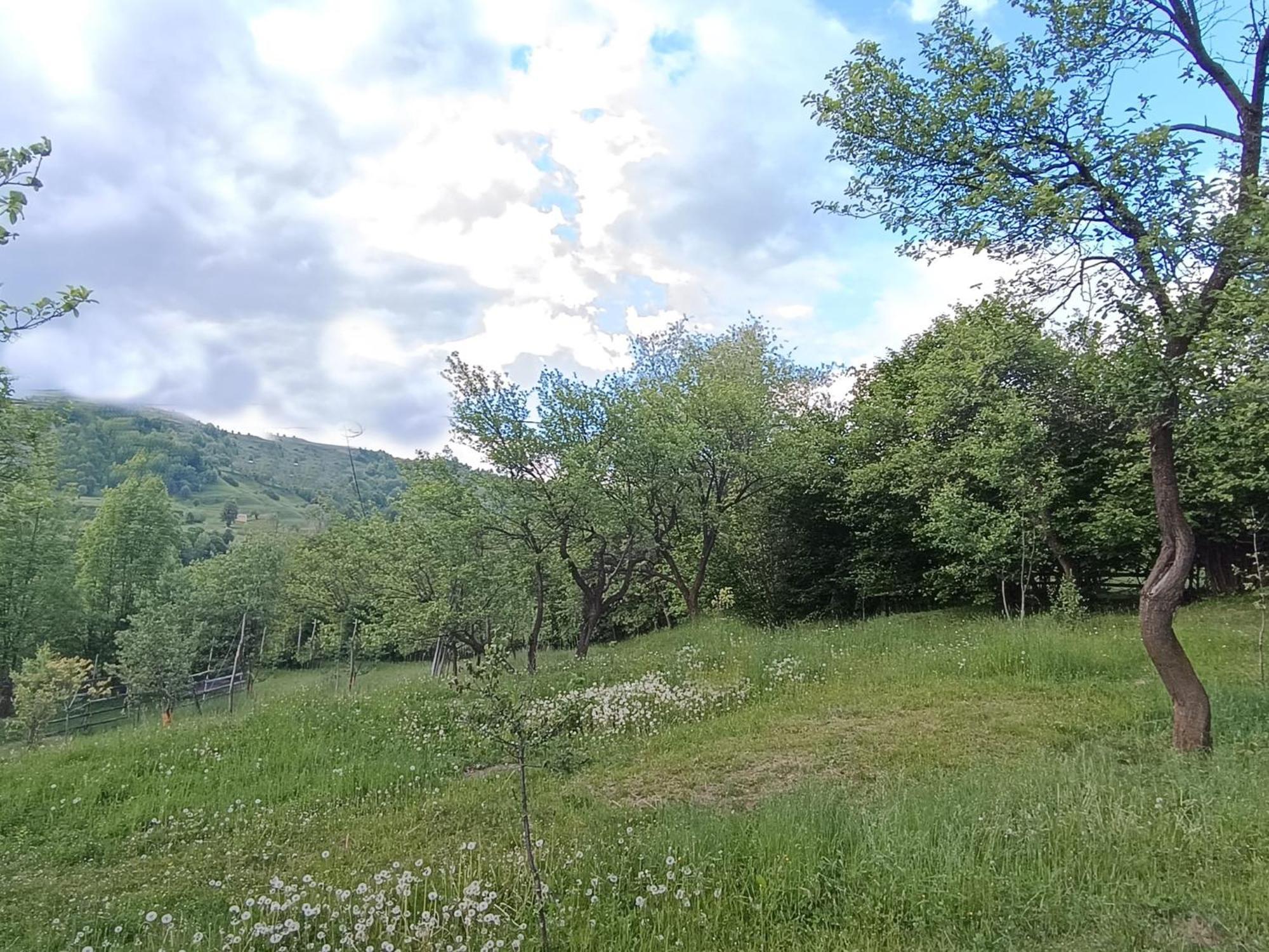 Casuta Din Livada Villa Moisei Dış mekan fotoğraf