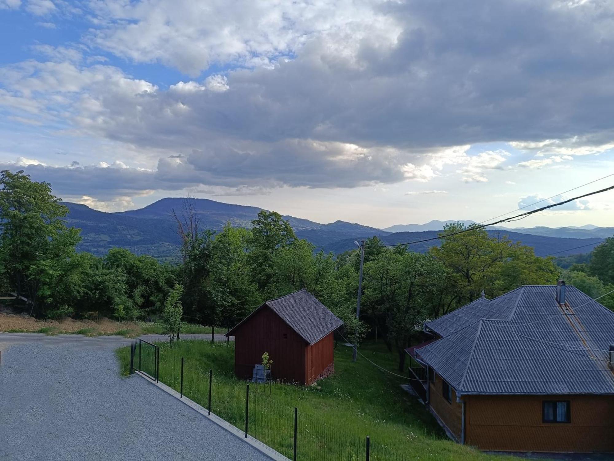 Casuta Din Livada Villa Moisei Dış mekan fotoğraf