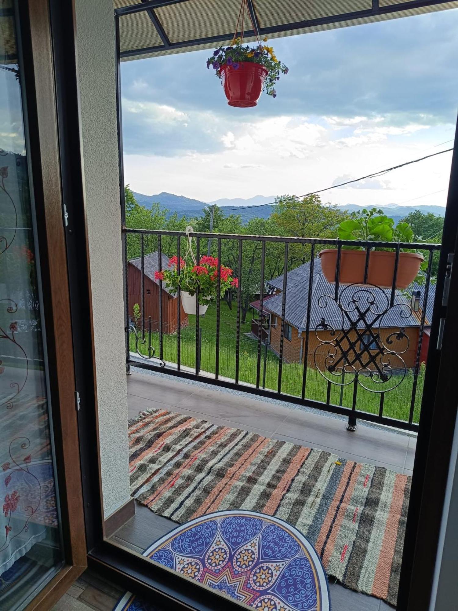 Casuta Din Livada Villa Moisei Dış mekan fotoğraf