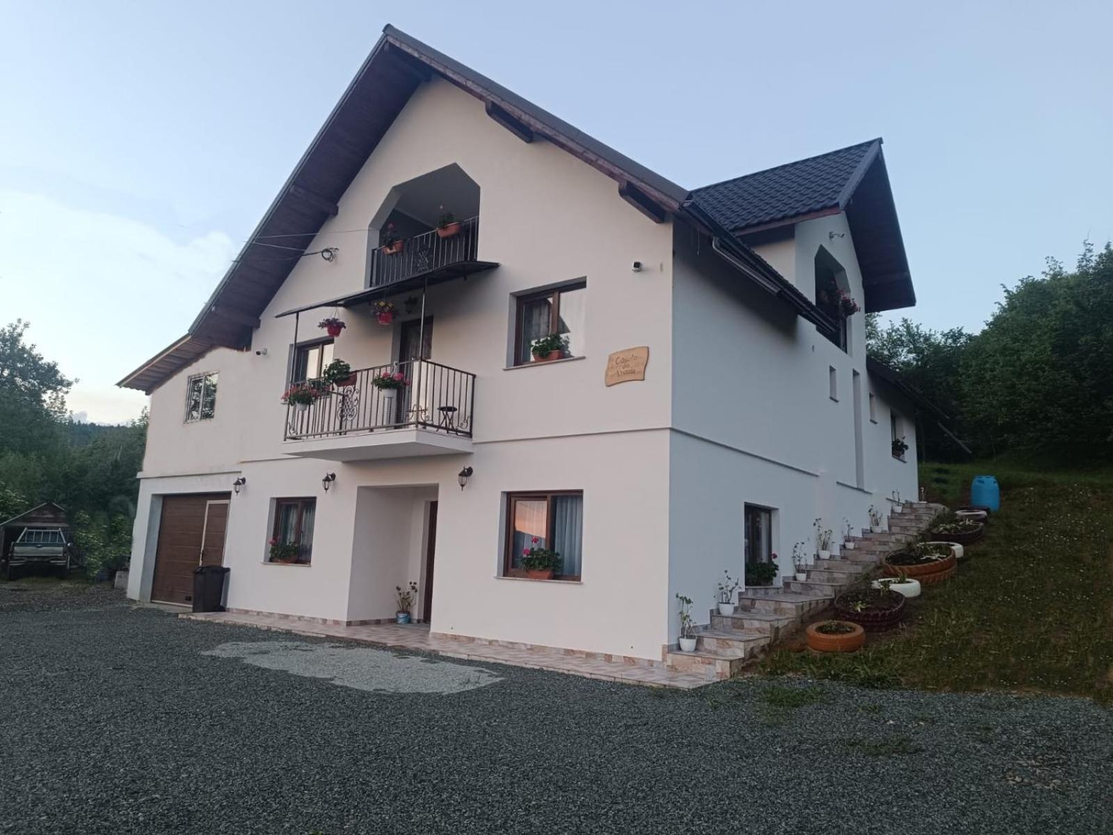 Casuta Din Livada Villa Moisei Dış mekan fotoğraf